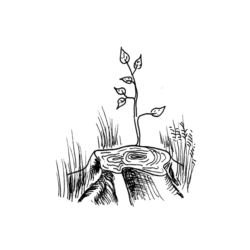 Ausführung: Es muss darüber Auskunft gegeben werden, wie der Wald auf Mensch und Landschaft wirkt (Erholungswald, Klimaeinfluss, Wasserhaushalt, Rohstoffquelle, Schutzfunktion, natürliche Lebensgemeinschaften).