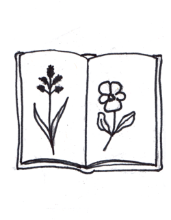 9. Ein Herbarium mit 20 Pflanzen